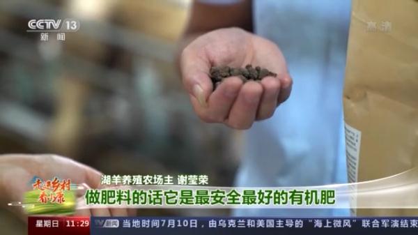 湖羊肉怎麼這麼好吃!跟著羊倌兒看看“羊村”的“巴適”生活 湖羊肉怎麼這麼好吃!跟著羊倌兒看看“羊村”的“巴適”生活