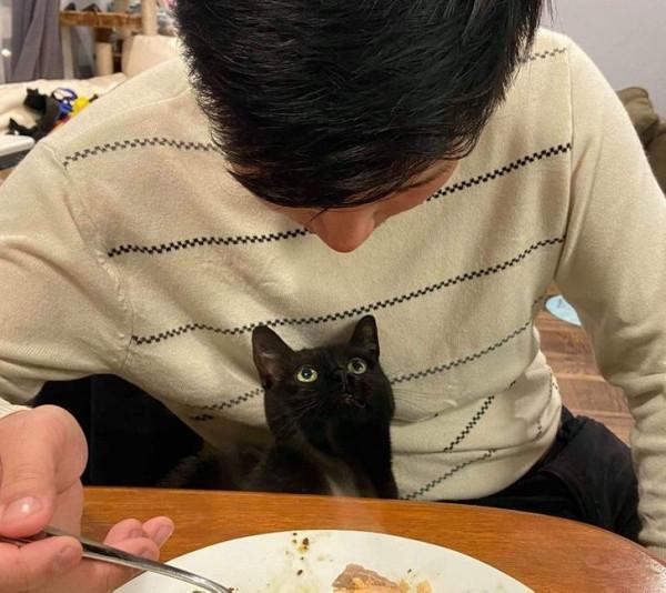 總有一些騙你養寵物的時刻