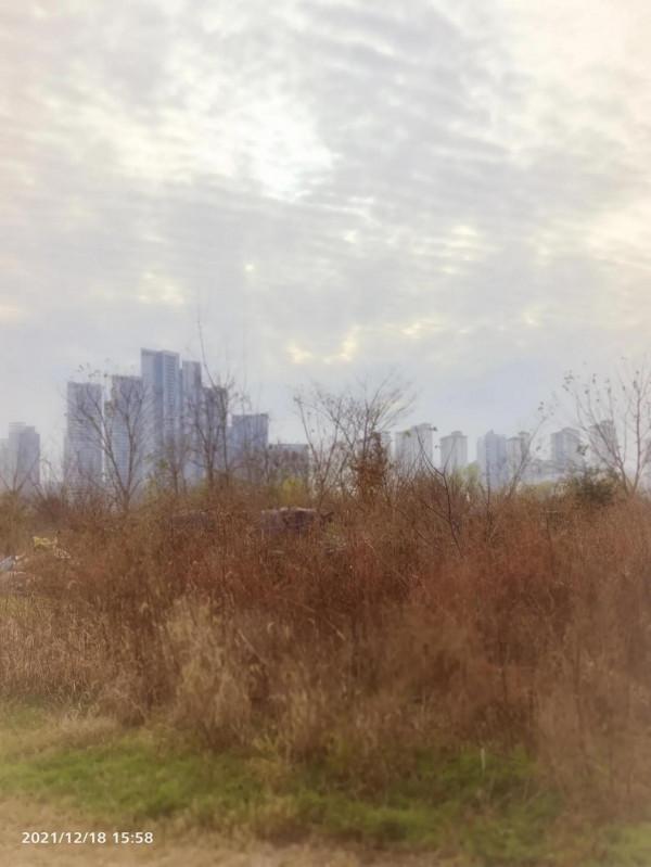 “油畫”老西灣 “油畫”老西灣