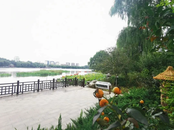 這幾個公園“上新”了，有菊花、蘭花、南瓜、石榴、山楂…