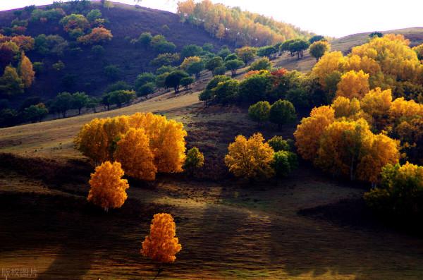 沿途皆如天堂!這10條深秋路線,去過一半就邂逅中國大半的美 沿途皆如天堂!這10條深秋路線,去過一半就邂逅中國大半的美