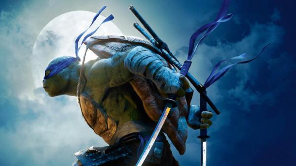 烏龜中的戰鬥龜，《忍者神龜》四兄弟性格迥異，名字各有寓意