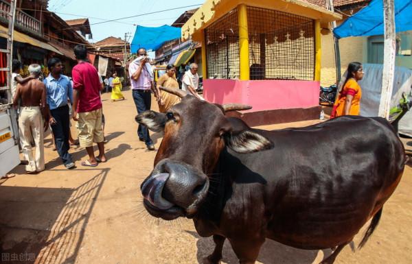 15個你不知道的世界各地冷知識，為什麼印度吃肉的人這麼少？