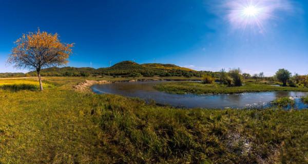 秋到塞罕壩——中午