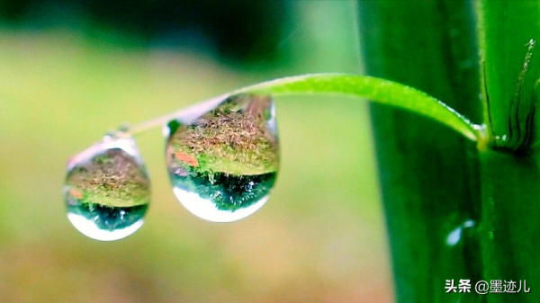 從那以後,母親就很少回來了 從那以後,母親就很少回來了