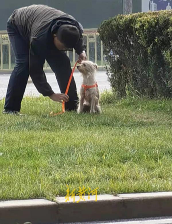 “濟南版忠犬八公”衝上熱搜:兩個濟南人的愛心接力 “濟南版忠犬八公”衝上熱搜:兩個濟南人的愛心接力