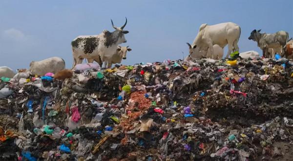 一件二手衣服漂洋過海的生存日記:你們丟棄的破舊衣物都去了哪裡? 一件二手衣服漂洋過海的生存日記:你們丟棄的破舊衣物都去了哪裡?