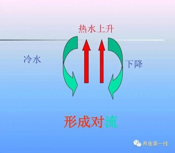 造成魚類缺氧翻塘的特定氣候及水文生態系統因素及其原因原理 造成魚類缺氧翻塘的特定氣候及水文生態系統因素及其原因原理