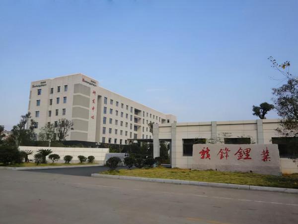 中國新能源真正的龍頭:三大新能源企業,機構重倉持有 中國新能源真正的龍頭:三大新能源企業,機構重倉持有