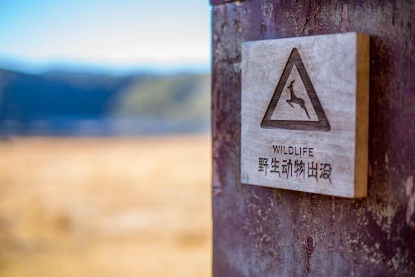 住進遺落人間的天堂 哈弗M6 PLUS生活記