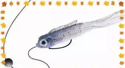 五花八門的軟蟲釣組，你知道高手們都是怎麼用的嗎？