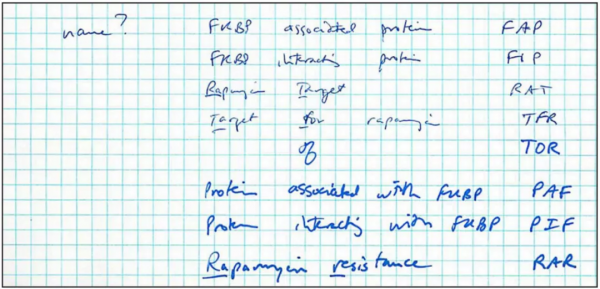 TOR：開啟研究細胞生長代謝的大門｜“諾獎值得”系列