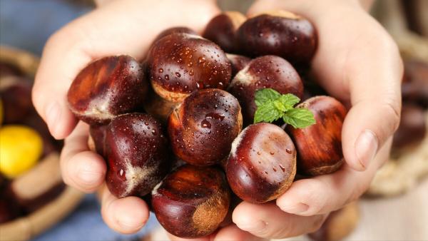 秋季進補,推薦8種食材,多給家人吃,健康養胃,降秋燥事半功倍 秋季進補,推薦8種食材,多給家人吃,健康養胃,降秋燥事半功倍