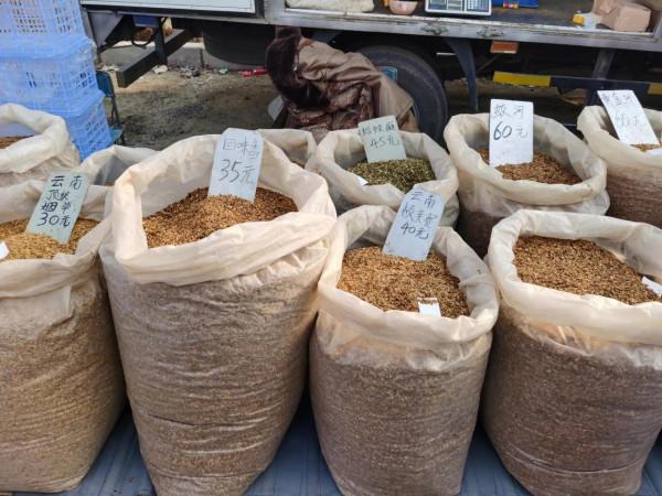 東北大集都有點啥，快跟我一起逛逛