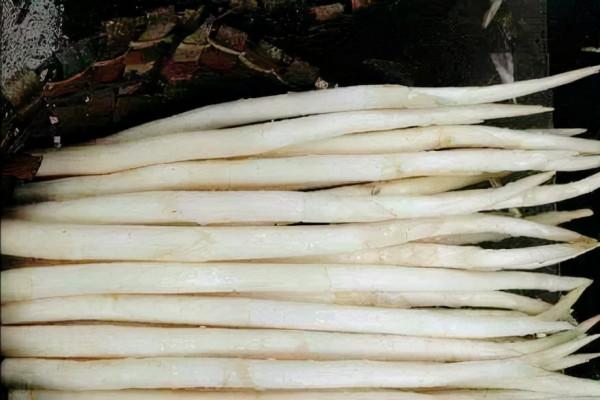 12種懶人蔬菜,種1次連續採收5年以上,庭院變成觀光園 12種懶人蔬菜,種1次連續採收5年以上,庭院變成觀光園