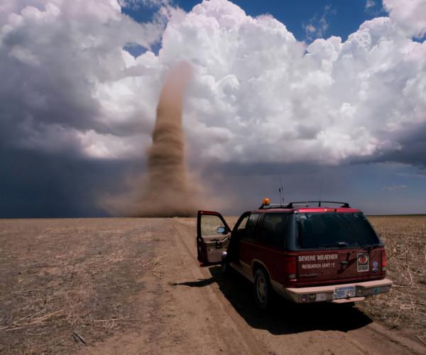 90個神奇照片，剛出生的小刺蝟，大白鯊的驚人尺寸，水上麻將桌椅