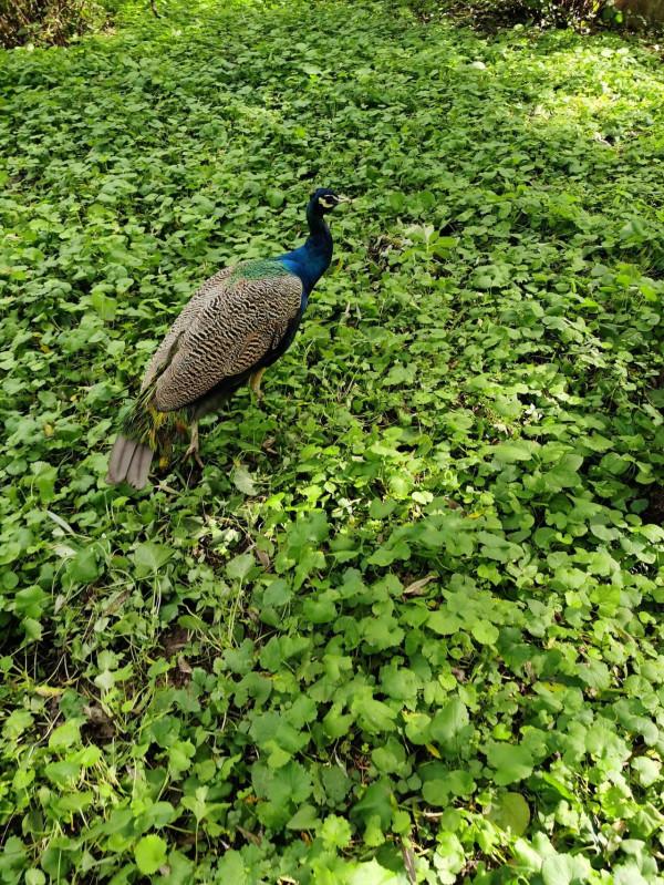 南海子公園咋恁美？