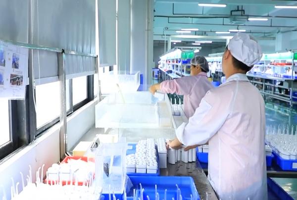 英普利衝牙器MS11新品上市，讓差旅人士輕鬆護齒