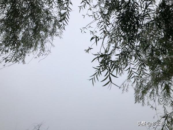 老人說：今年是“冬夏蓋春秋，寒暑皆不通”，啥意思？有啥預兆？