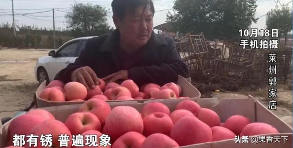 對於今年的蘋果趨勢,​我想說幾句 對於今年的蘋果趨勢,​我想說幾句