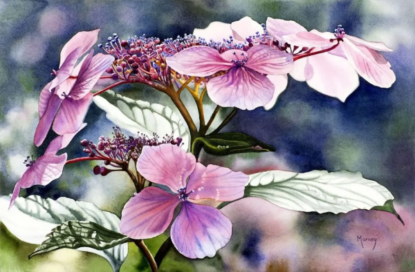 55歲拿起畫筆,成為最懂花的女人!筆下絢爛唯美的水彩花卉太美了 55歲拿起畫筆,成為最懂花的女人!筆下絢爛唯美的水彩花卉太美了