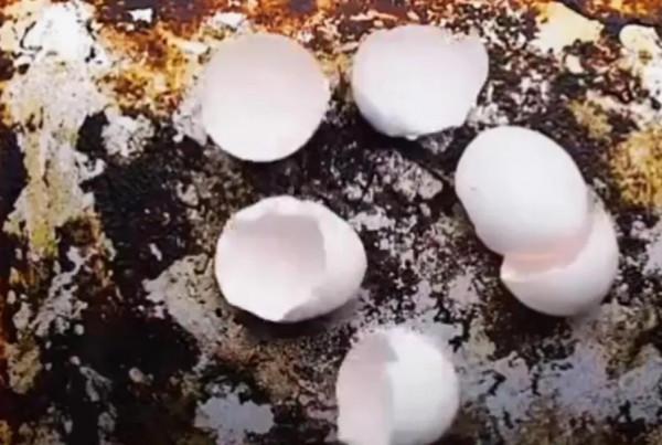 我的廚房我做主，鍋碗瓢盆裡的技巧，小妙招大作用