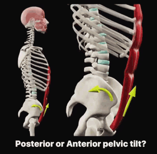 第一次聽說走路也能吸粉? 第一次聽說走路也能吸粉?