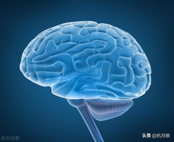 人類的大腦與三千年前相比,縮小了,並且一直在縮小 人類的大腦與三千年前相比,縮小了,並且一直在縮小