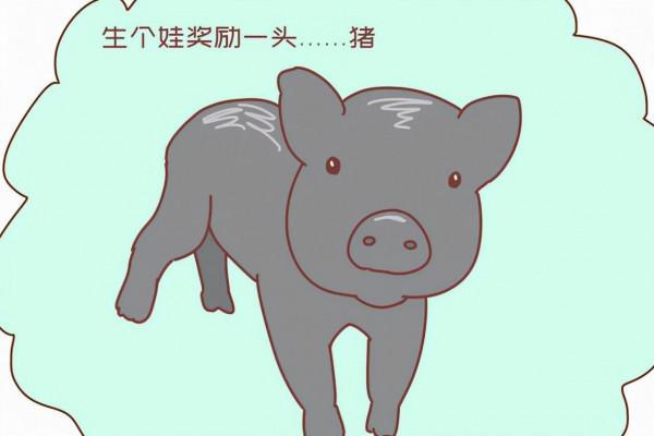 為了鼓勵生孩子，各國想了不少辦法，看到西班牙的操作我笑出了聲