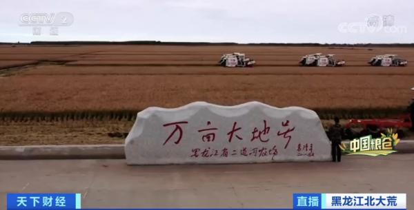 中國人每9碗飯中，就有1碗來自這裡！咱“中華大糧倉”產量或再創新高