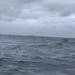 世界之大,無奇不有!來看網友們分享的一組對比圖,漲漲知識 世界之大,無奇不有!來看網友們分享的一組對比圖,漲漲知識