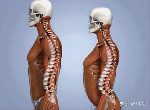 女明星的頭髮竟然越來越多?她的保養是真的絕,禿頭少女快看過來 女明星的頭髮竟然越來越多?她的保養是真的絕,禿頭少女快看過來