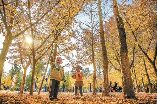 京彩秋色 京彩秋色