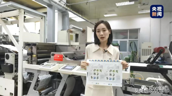 《科技創新》（三）與“野生動物”郵票，線下零售量公佈