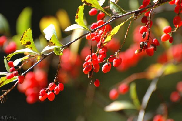 週三這三個板塊或將迎來大幅拉昇 週三這三個板塊或將迎來大幅拉昇