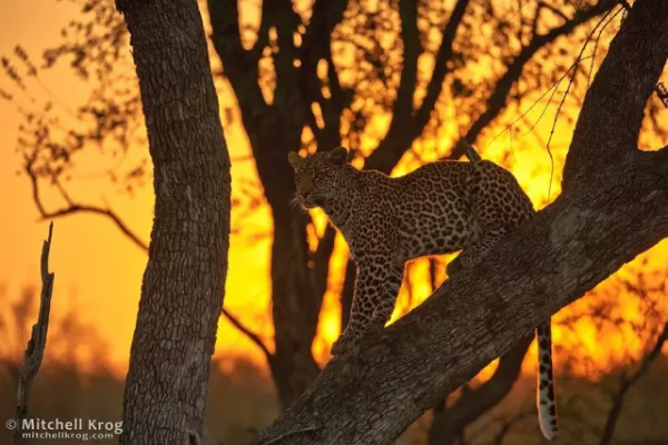 世界上顏值最高的20個國家，猜猜中國排第幾？