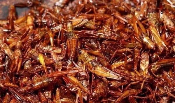 中國各地的十大“黑暗料理”，你吃過幾種？