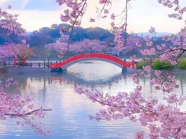 六首歲月靜好的精妙詩詞，首首感悟人生，不可錯過