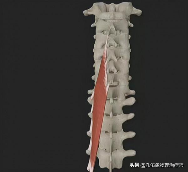 轉動脖子的時候咔咔響，是好還是壞？經常按摩的人，需要注意啥