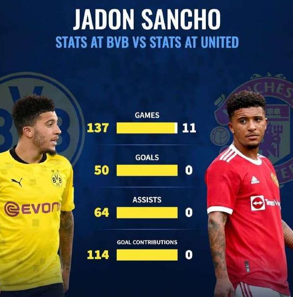 非賣品?黑店又要開張 才俊可賣標價1億 只是大黃蜂出品真得小心 非賣品?黑店又要開張 才俊可賣標價1億 只是大黃蜂出品真得小心