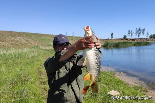 秋天釣魚，天氣變冷，魚口不好，怎樣增強魚口？秋天增強魚口技巧