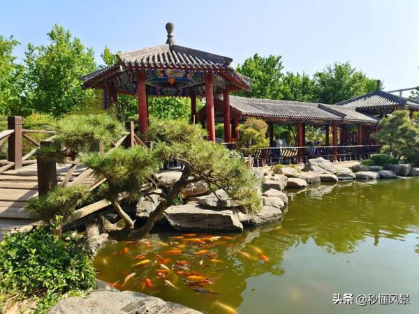 西安古典園林,比大唐芙蓉園人少古色古香,免費卻很少有遊客知道 西安古典園林,比大唐芙蓉園人少古色古香,免費卻很少有遊客知道