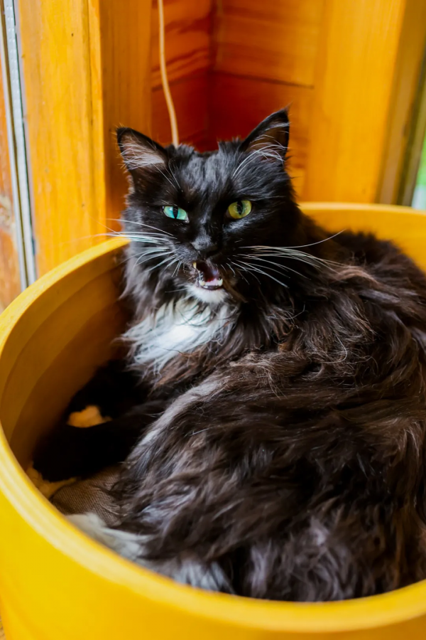 天團連連看，你的眼睛還好嗎？