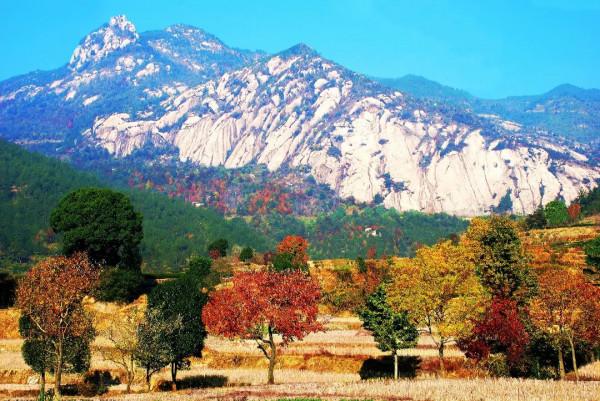 11月，看湖北，疊翠流金！