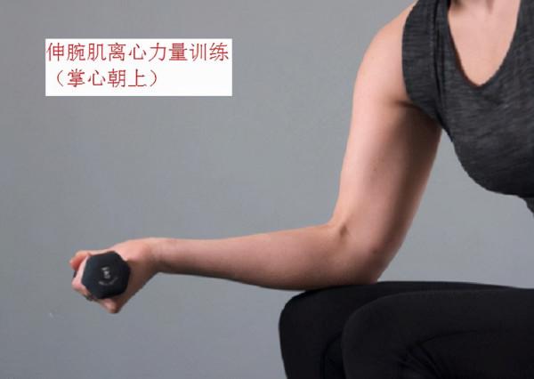 運動療法的常用手段