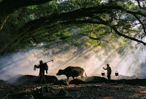 人類能堅持多久不睡覺?一美國男子強撐了11天,醫生:隨時會猝死 人類能堅持多久不睡覺?一美國男子強撐了11天,醫生:隨時會猝死