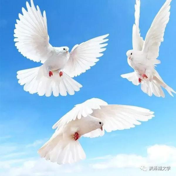 巔峰對決：詩神華靈和詩魔餘秀華三首同題詩大PK