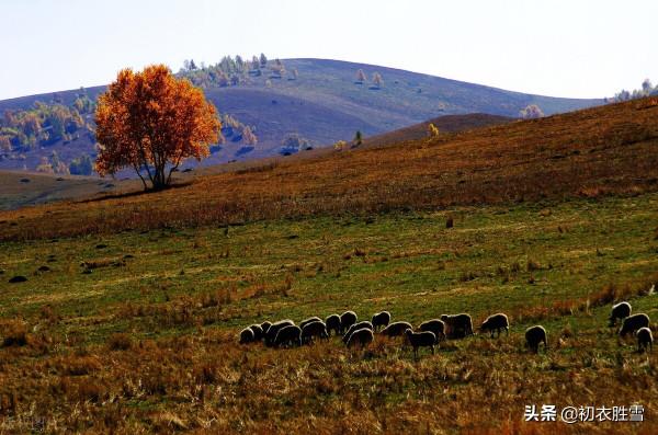 ​納蘭性德三首塞外深秋詞,冷麗深邃,深山夕照深秋雨 ​納蘭性德三首塞外深秋詞,冷麗深邃,深山夕照深秋雨