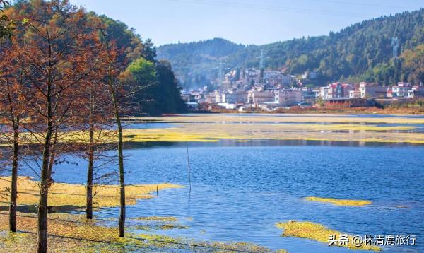 雲南被忽視的3個養老小城，冬夏養人物價低，全年用不到空調