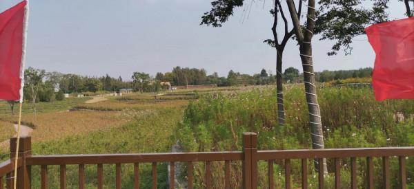 淄川南部森林公園